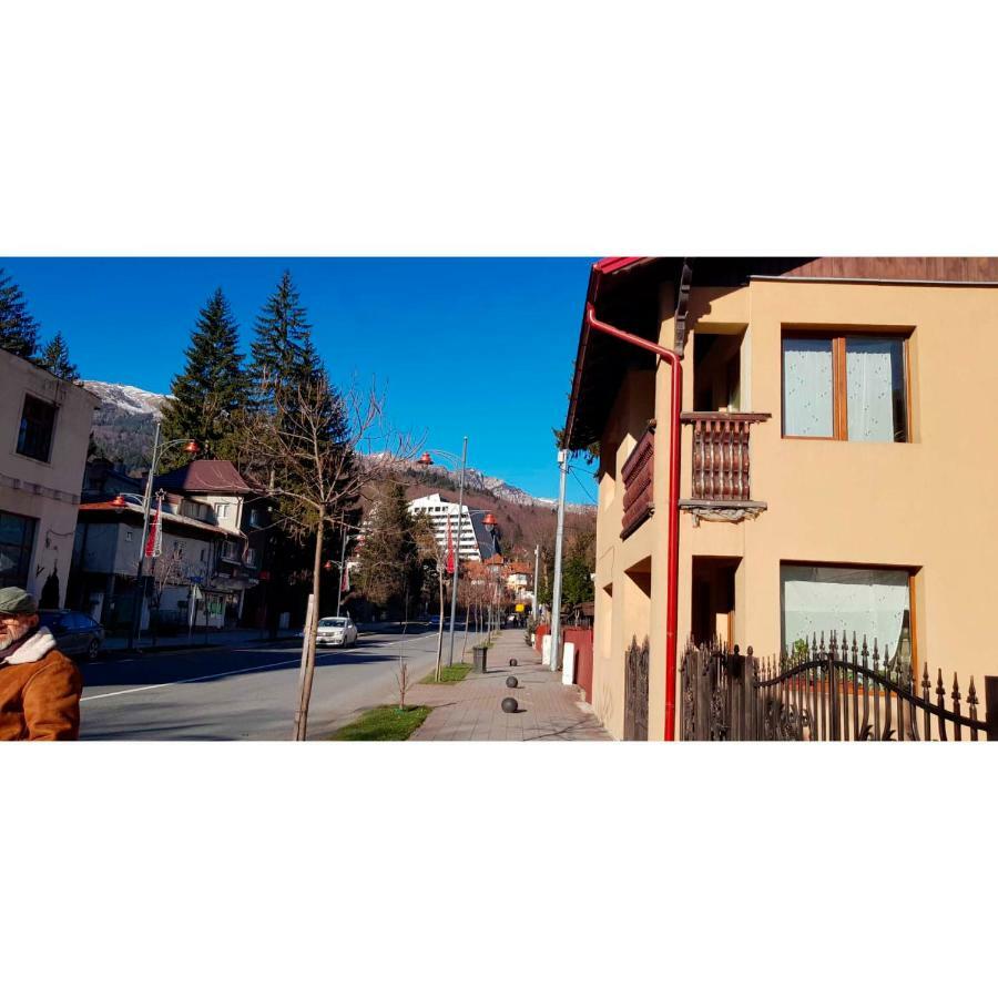 Vaso Apartament Sinaia Exteriér fotografie