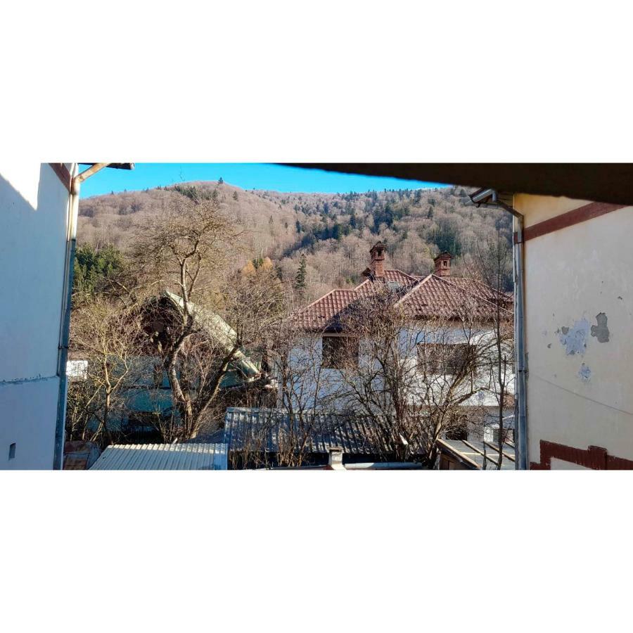 Vaso Apartament Sinaia Exteriér fotografie