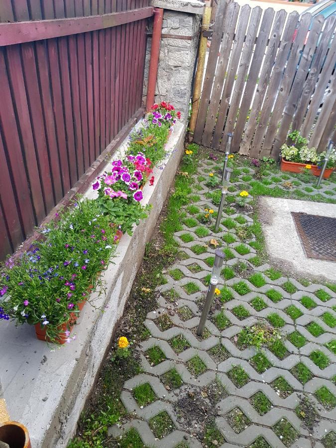 Vaso Apartament Sinaia Exteriér fotografie